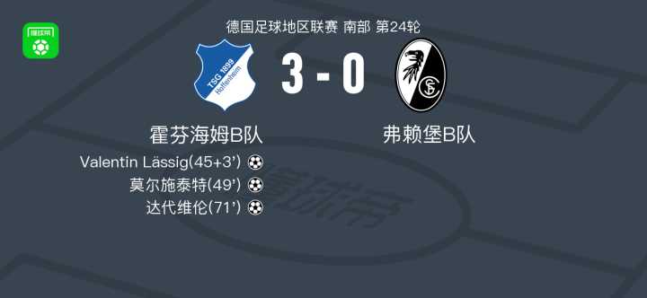 关于霍芬海姆前锋破门得分,提升射手榜排名的信息 关于霍芬海姆前锋破门得分,提升射手榜排名的信息