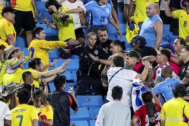 AG捕鱼-包含荷兰在欧洲预选赛中斩获胜利——球迷热情相挺的词条