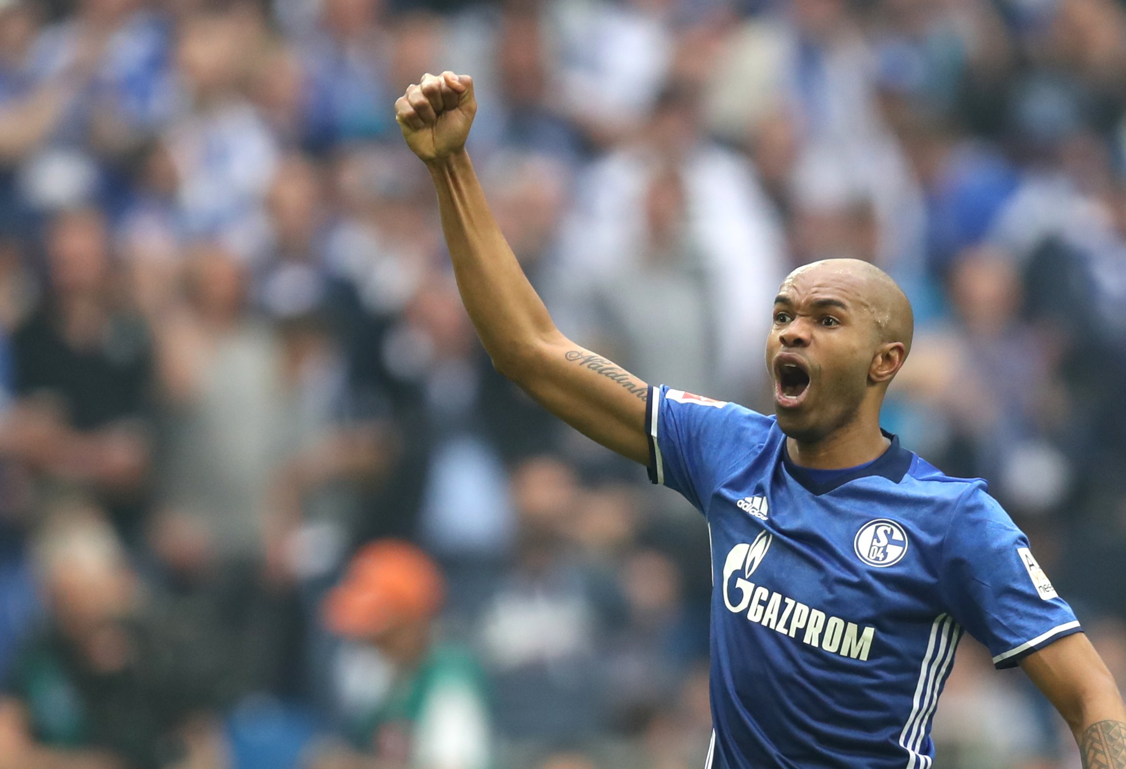 AG捕鱼官网app下载-沙尔克04主场大胜对手,保级希望渐浓